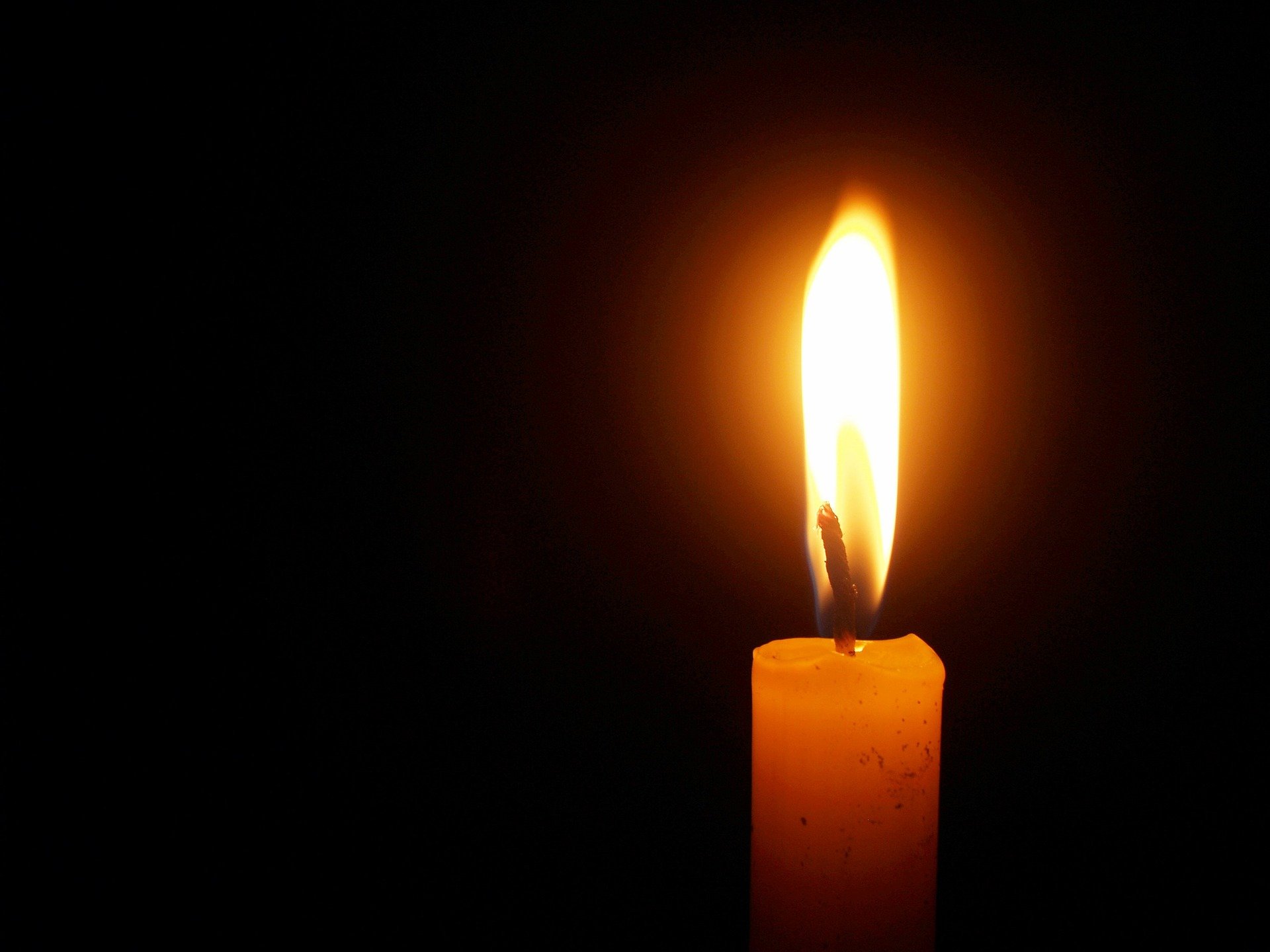 How Long Does Probate Take Without A Will 
